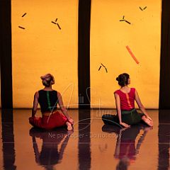 Bloom 20251106 019.jpg