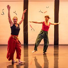 Bloom 20251106 026.jpg