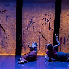 Bloom 20251106 034.jpg