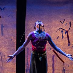 Bloom 20251106 040.jpg