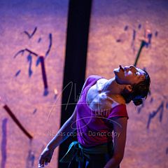 Bloom 20251106 047.jpg