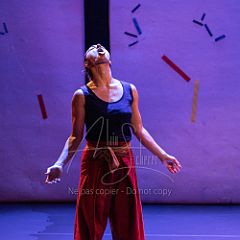 Bloom 20251106 049.jpg