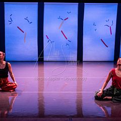 Bloom 20251106 054.jpg