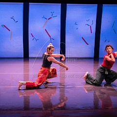 Bloom 20251106 061.jpg