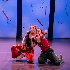 Bloom 20251106 063.jpg