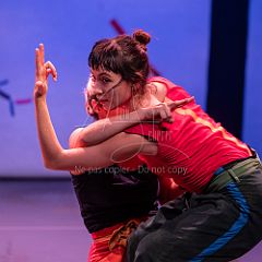 Bloom 20251106 066.jpg