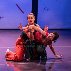 Bloom 20251106 067.jpg