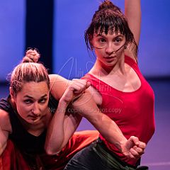 Bloom 20251106 071.jpg