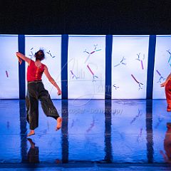 Bloom 20251106 085.jpg