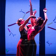 Bloom 20251106 106.jpg