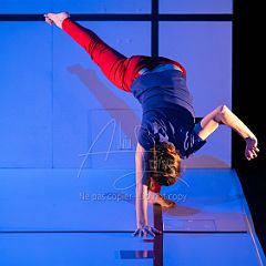 Feuilles 20220411 068.jpg