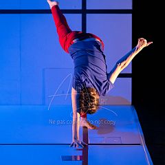 Feuilles 20220411 070.jpg