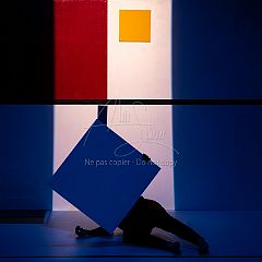 Feuilles 20220411 119-2.jpg