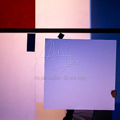 Feuilles 20220411 122.jpg