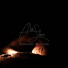 Quartz 20230824 147.jpg