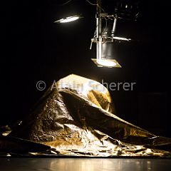 The Dead_Live_On_20160628_057 CPR.jpg