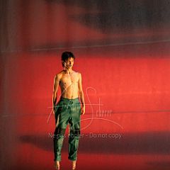 LesOiseaux 20250629 002.jpg