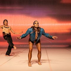 LesOiseaux 20250629 011.jpg