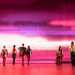 LesOiseaux 20250629 017.jpg