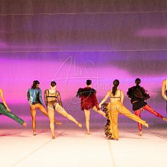 LesOiseaux 20250629 031.jpg