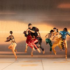 LesOiseaux 20250629 045.jpg