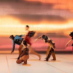 LesOiseaux 20250629 048.jpg