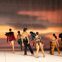 LesOiseaux 20250629 051.jpg