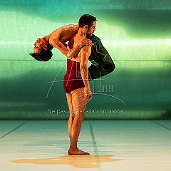 LesOiseaux 20250629 062.jpg