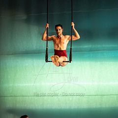 LesOiseaux 20250629 068.jpg