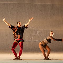 LesOiseaux 20250629 074.jpg