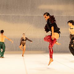 LesOiseaux 20250629 087.jpg